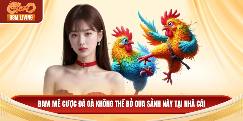 88M 12 Đam mê cược đá gà không thể bỏ qua sảnh này tại nhà cái